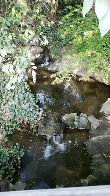 哈尔滨旅游“火出圈”后，税务部门帮餐厅解决用工短缺，帮游客协调居家民宿